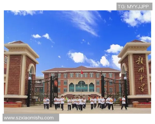 南京乒乓球队在欧锦赛中的个人能力展现与团队协作分析