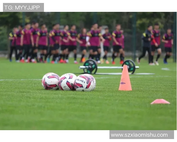 武汉足球队的团队协作精神与战术配合探讨